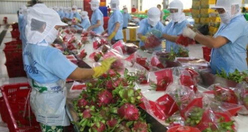 Nông sản Việt: Được cả mùa và giá ngay từ đầu năm