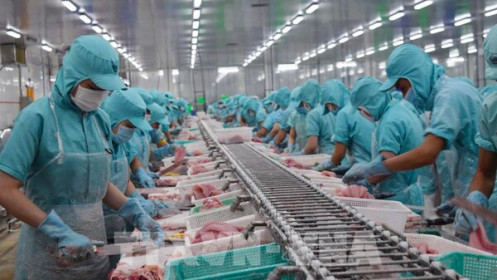 Gần 700 doanh nghiệp Việt được phép xuất khẩu thủy sản vào Đài Loan