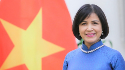 Việt Nam tham dự vòng đàm phán tháng 2/2021 về trợ cấp thủy sản của WTO
