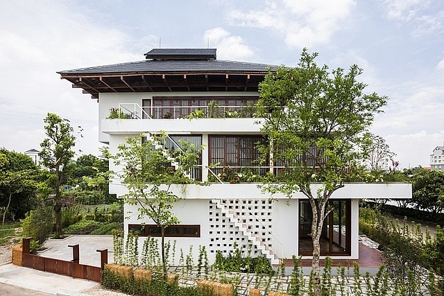 3 căn nhà kiểu ruộng bậc thang ở Việt Nam, ngập sắc xanh ấn tượng