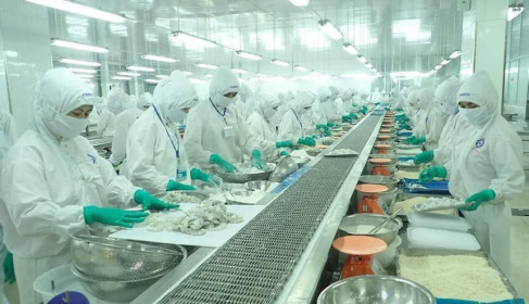 Thực phẩm Sao Ta (FMC): Tháng 2 doanh thu đạt 11,1 triệu USD, tăng gần 10%