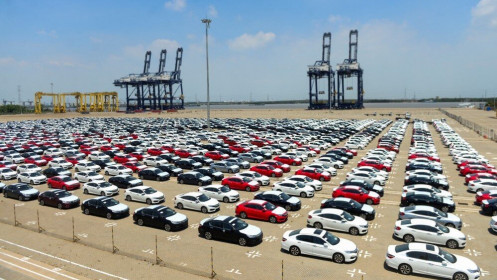 Xuất khẩu ngày 2-5/3: Hàng Việt sang Mỹ tăng mạnh; ô tô nhập giảm hơn 36%; cá tầm nhập từ Trung Quốc 2 tháng gần bằng cả năm 2020