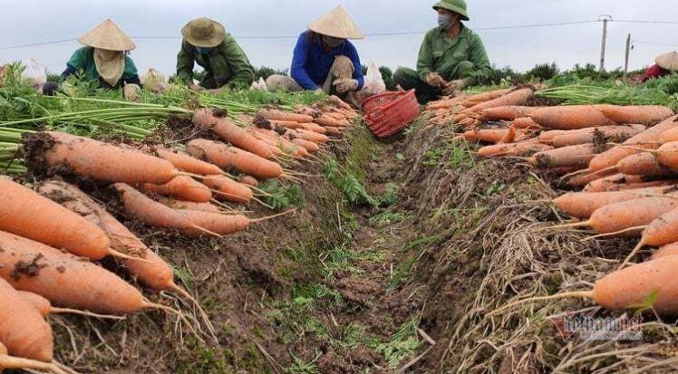 Vì sao quan chức vướng vòng lao lý liên quan đến đất vàng công sản?