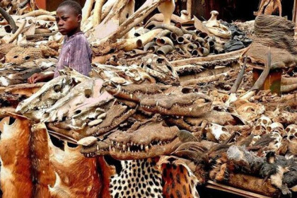 Giải mã bí ẩn bên trong khu chợ bùa ngải lớn nhất thế giới Akodessewa Fetish