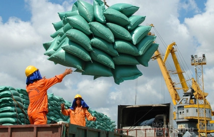 Xuất khẩu gạo: “Đòn bẩy” từ các FTA