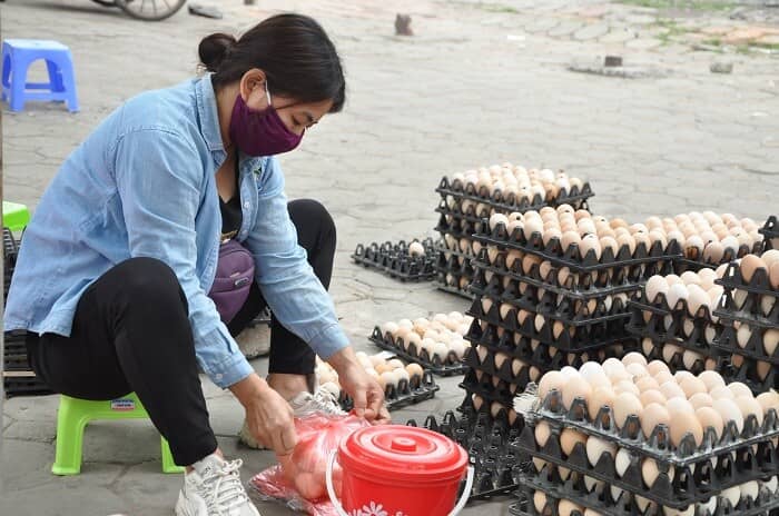 Trứng gà chỉ 1.400 đồng/quả, người dân càng nuôi càng lỗ