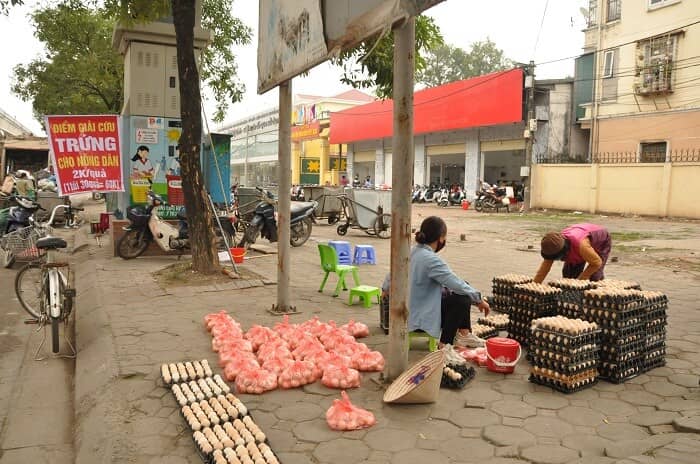Trứng gà chỉ 1.400 đồng/quả, người dân càng nuôi càng lỗ