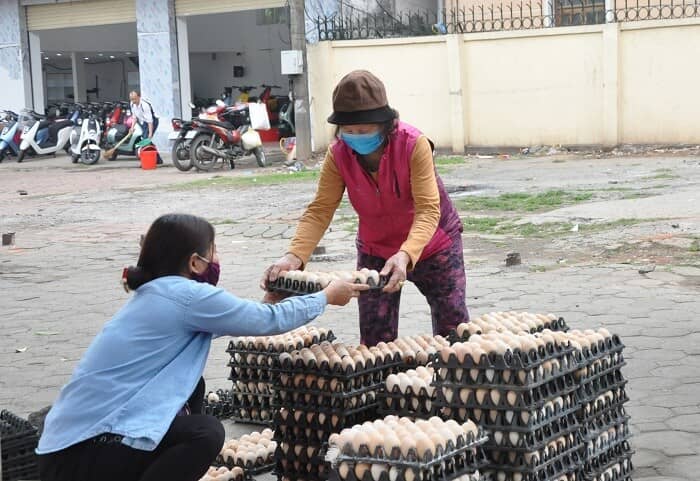 Trứng gà chỉ 1.400 đồng/quả, người dân càng nuôi càng lỗ