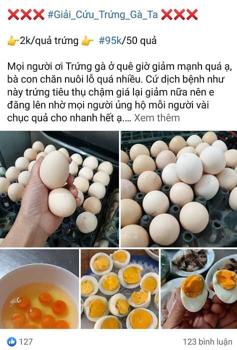 Trứng gà chỉ 1.400 đồng/quả, người dân càng nuôi càng lỗ