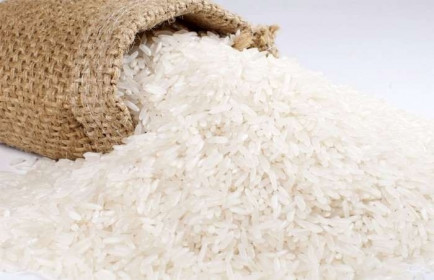 Giá lúa gạo hôm nay 12/3: Giá gạo xuất khẩu tiếp đà giảm về mức dưới 500 USD/tấn