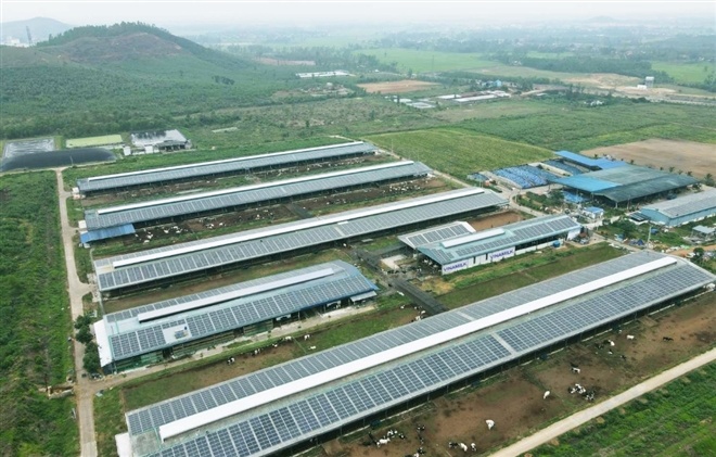 Vinamilk đầu tư hệ thống năng lượng mặt trời tại 12 trang trại bò sữa