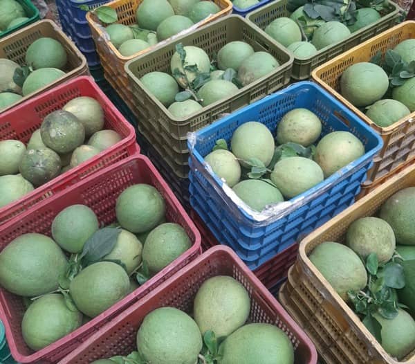 Bưởi da xanh giá thấp chưa từng có, người dân bán "chạy” để lấy vốn