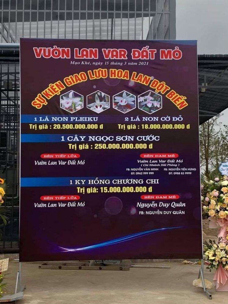 Nghi vấn quanh vụ mua bán lan var Ngọc Sơn Cước 250 tỷ ở Quảng Ninh