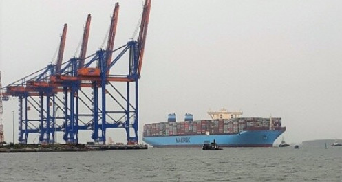 Kiểm tra giá cước vận chuyển container bằng đường biển 11 hãng tàu ngoại