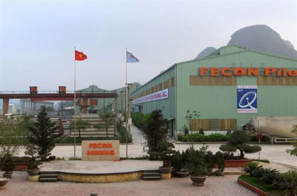 FECON (FCN) trúng thầu hai dự án với tổng giá trị gần 300 tỷ đồng