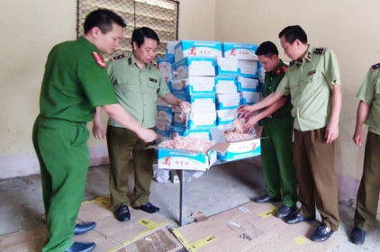 Phát hiện lô mực khô ăn liền nhập lậu tại Lào Cai