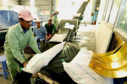 Thị trường nông sản tuần qua: Giá gạo và cà phê Việt Nam xuất khẩu tăng nhẹ