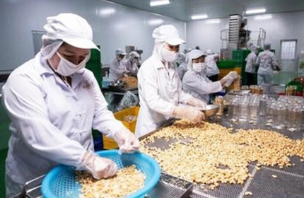 Sắp IPO 1,6 triệu cổ phần của Công ty Lương thực Lương Yên
