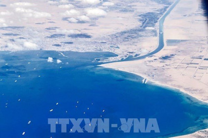 Sự cố tại kênh đào Suez không ảnh hưởng trực tiếp tới các hãng tàu của Việt Nam