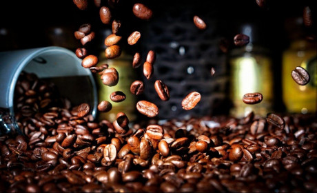 Giá cà phê hôm nay 2/4: Tiếp tục bị bán tháo, giá lại giảm, xuất khẩu kém do sự kháng giá tại thị trường nội địa