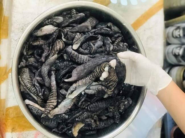 Thực hư loại nấm lạ đang gây sốt trên thị trường, dân buôn ngày bán cả tạ