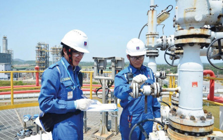 Giá dầu hâm nóng dòng “P”