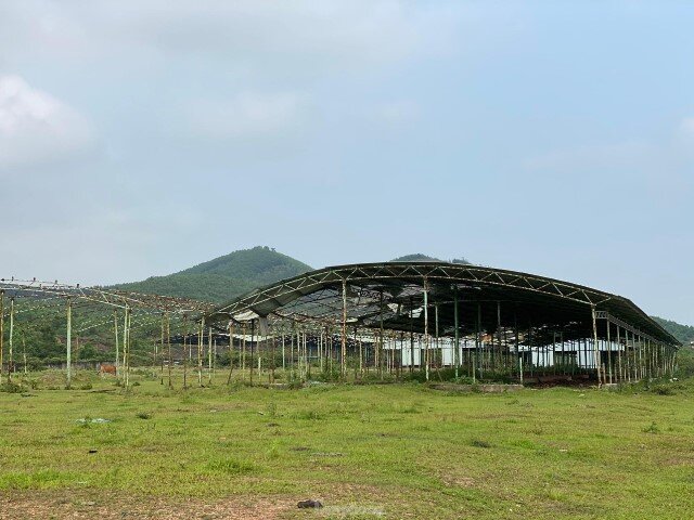 Hà Tĩnh: Dự án trại bò "tai tiếng" của Bình Hà sẽ được "tái sinh" như thế nào
