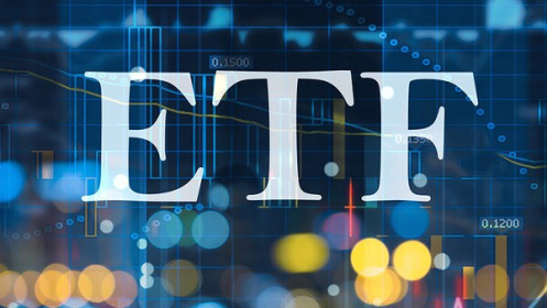 Fubon FTSE Vietnam ETF sẽ đổ tiền vào cổ phiếu nào?