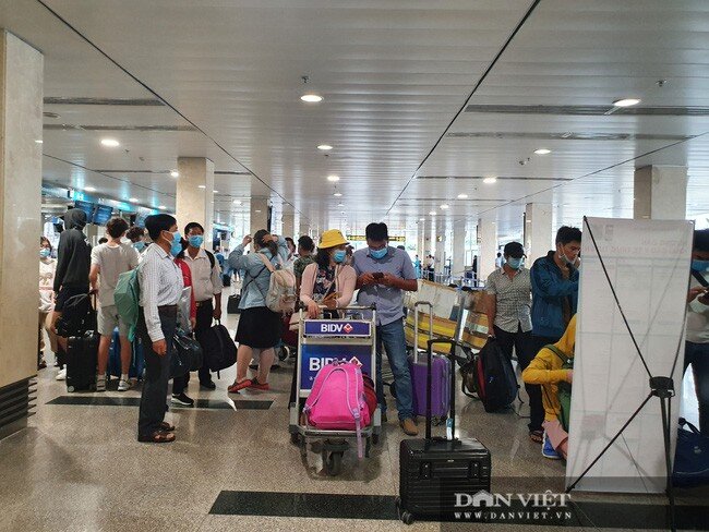 Giá vé máy bay đi Phú Quốc có rẻ hơn khi các hãng hàng không ồ ạt mở đường bay, tăng chuyến?