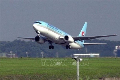 Korean Air dự kiến kinh doanh có lãi nhờ hoạt động logistics
