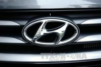 Hyundai tạm dừng hoạt động một nhà máy tại Hàn Quốc