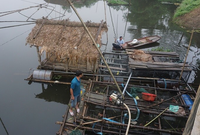 Thanh Hóa: Nghi ngờ doanh nghiệp xả thải khiến cá chết hàng loạt trên sông Mã