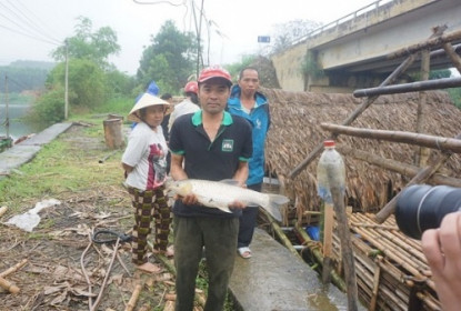 Thanh Hóa: Nghi ngờ doanh nghiệp xả thải khiến cá chết hàng loạt trên sông Mã