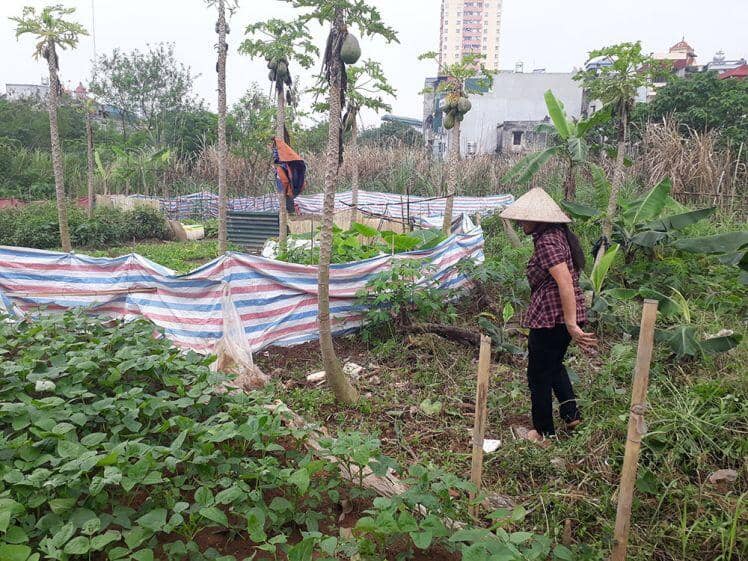 Khu nhà ở Văn La bị HĐND TP. Hà Nội đưa vào diện giám sát dự án chậm tiến độ