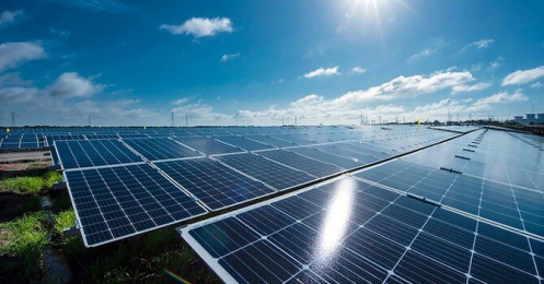 Lợi nhuận “lẹt đẹt” của “ông trùm” điện mặt trời Trung Nam: 100 đồng doanh thu, lãi chưa đến 2 đồng