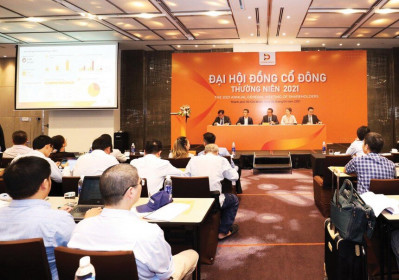 Mùa đại hội cổ đông yên ả