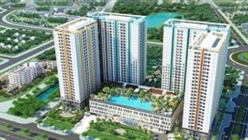 HQC: Giá tăng trần liên tục, em Chủ tịch muốn thoái 3.5 triệu cp