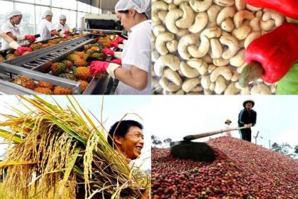 Xuất khẩu nhóm nông, lâm, thuỷ sản tăng mạnh trong quý I/2021
