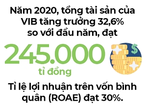 Công thức tăng trưởng của VIB