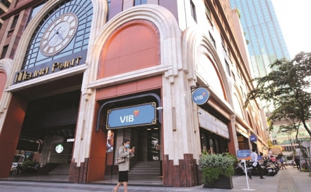 Công thức tăng trưởng của VIB