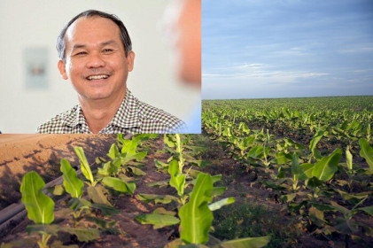 Sau khoản lỗ nghìn tỷ, bầu Đức còn lại gì?