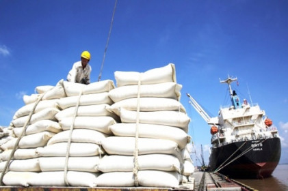Giá gạo xuất khẩu của Việt Nam lao dốc