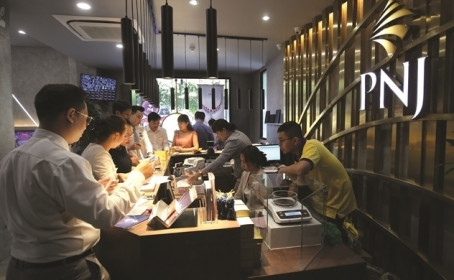 PNJ muốn trở lại đường đua