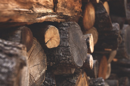 Tăng tính minh bạch cho gỗ nguyên liệu nhập khẩu