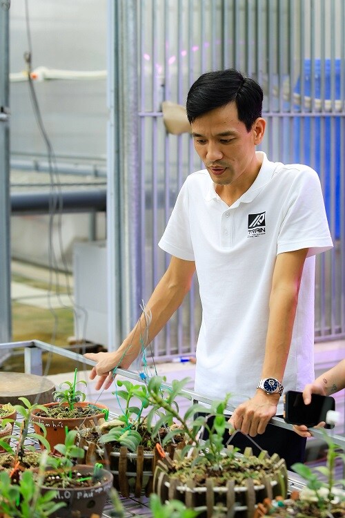 Bên trong vườn lan đột biến được định giá gần 100 tỷ đồng ở Phú Thọ