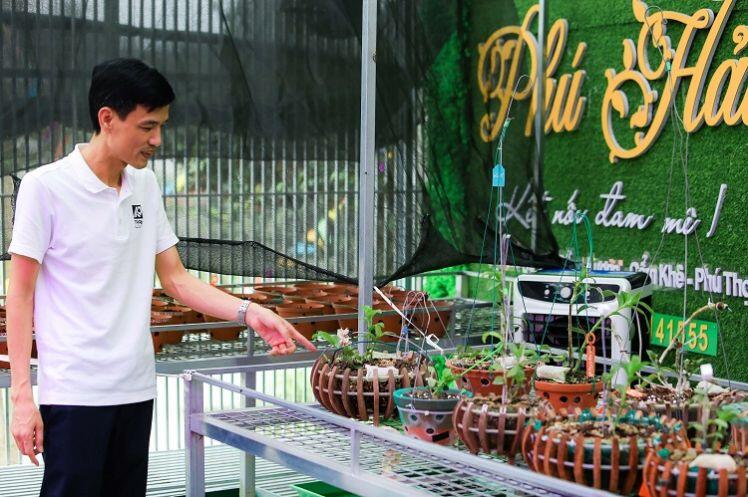 Bên trong vườn lan đột biến được định giá gần 100 tỷ đồng ở Phú Thọ