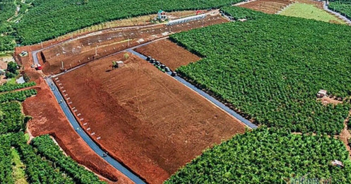 Lâm Đồng kiểm tra loạt khu đất phân lô bán nền gắn mác dự án bất động sản