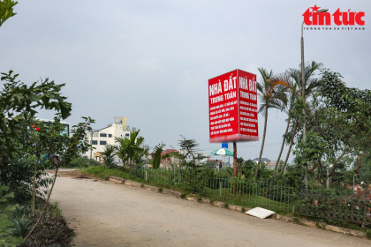 Chặn sốt đất ảo