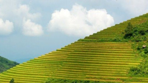 Hãng tin Đức giới thiệu 11 điểm du lịch mê hoặc với ‘hành trình xuyên Việt, từ Bắc chí Nam’