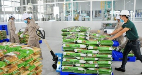 Vì sao gạo Việt Nam bán tại thị trường Anh không mang tên nhà sản xuất